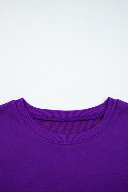 Tillandsia Purple Varsity Contrast Banded Sleeve Shift Sweatshirt Dress